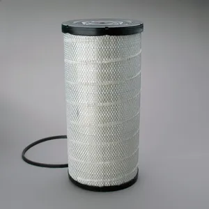 Donaldson P534816 Air Filter, Primary, RadialSeal — 2