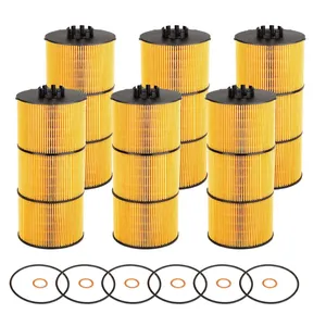 Getopauto P551005 Oil Filter (6PCS)