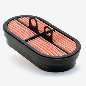 Air filter P600975 (Donaldson)