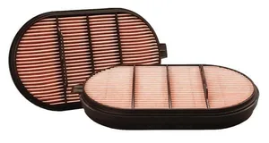 P601560 - Air Filter