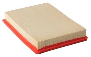 P607323 - Air Filter