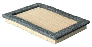 P614543 - Air Filter