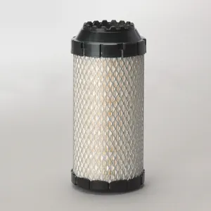Air filter P778979 (Donaldson)