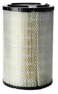 P821938 - Air Filter