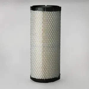 Air Filter, Primary Radialseal P822768