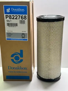 Donaldson P822768 Primary RadialSeal Air Filter — 2