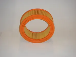 Air Filter (PE322)