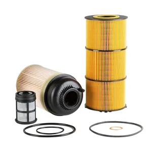 Getopauto PF9908 Fuel Filter P551005 Oil Filter Kit Fit
