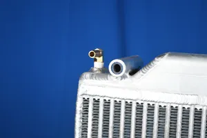 Freightliner FLD, Century, Business Class Radiator # 601024 — 6