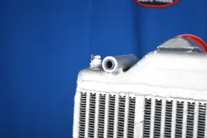 Freightliner FLD, Century, Business Class Radiator # 601024 — 16