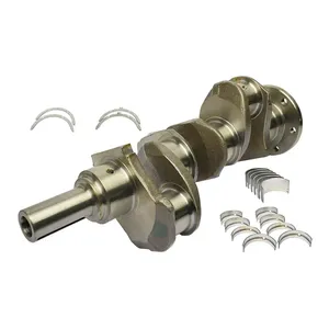Forged Crankshaft with Bearings for AD3.152 Engine Rope Seal Type
