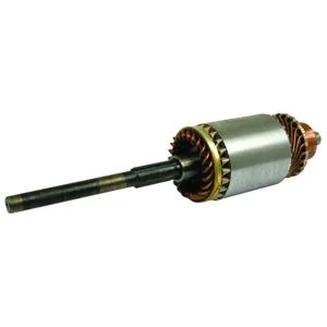 Armature for M45G Starter MF TEF20 - 1893410M91