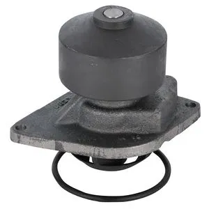 Water Pump including pulley and seal - 3802970