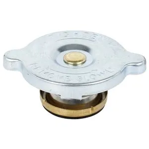 Radiator cap Mf 3637301M1