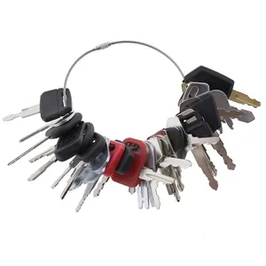 30 Pcs Ignition Key for Caterpillar CAT Komatsu Kubota Case John Deere JCB NH Volvo Heavy Equipment — 2