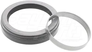 Dayton Parts TS69699 Wheel Seal - Str Leatonher