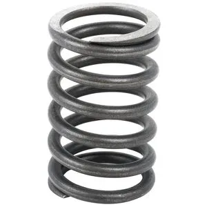 Valve Spring Intake / Exhaust - FO 83911693