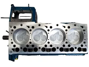 Kurbeltriebwerk Shortblock Motor für Kubota V1505 im AT — 5