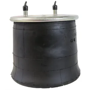 Firestone Air Bag | W01-358-8774