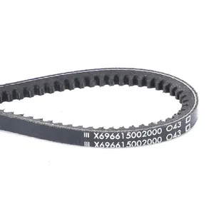 AGCO | V-Belt - X696615002000